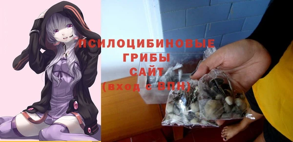 МДПВ Дедовск