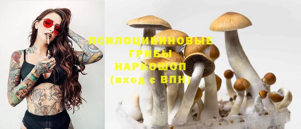 МДПВ Саяногорск