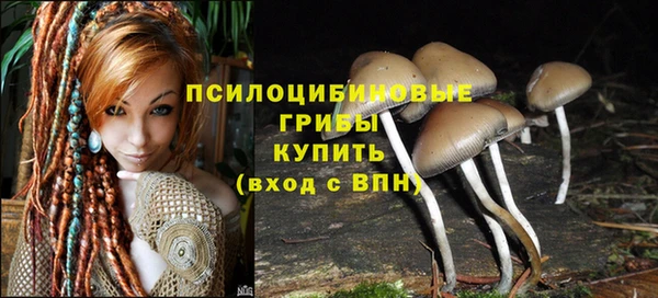 стаф Железногорск-Илимский