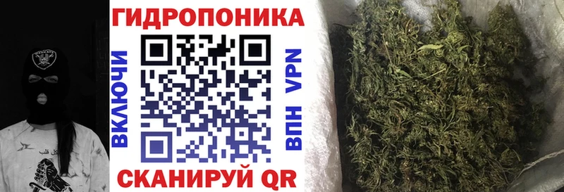 закладки  Харовск  Шишки марихуана сатива 