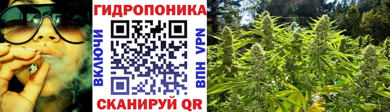 Канабис ГИДРОПОН Харовск